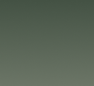 Green 60%