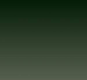 Green 80%