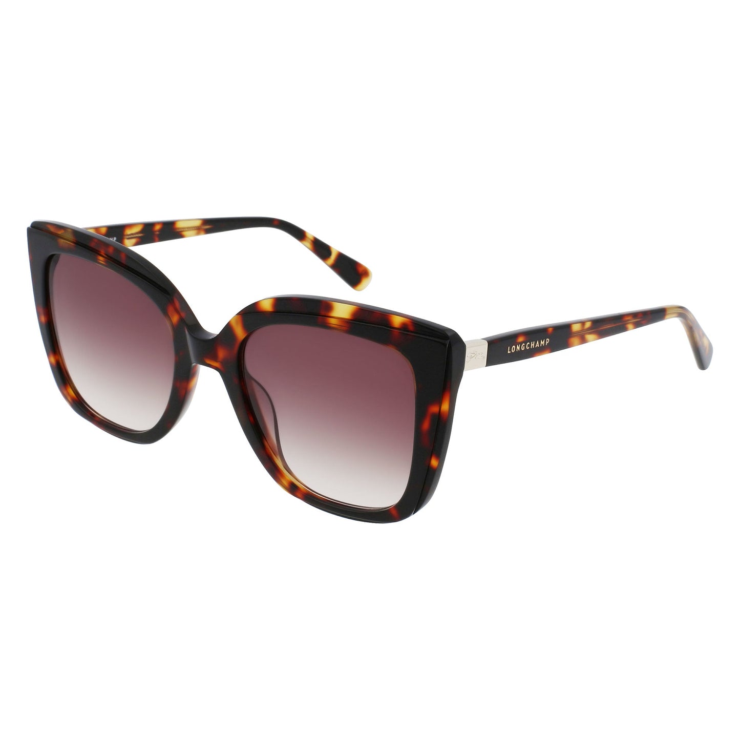 Longchamp : LO689S Havana
