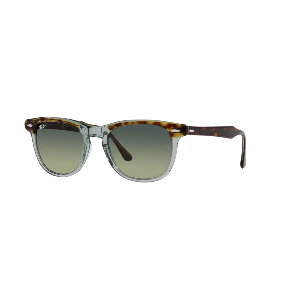 Calvin Klein 22535S Mens Sunglasses | Bupa Optical