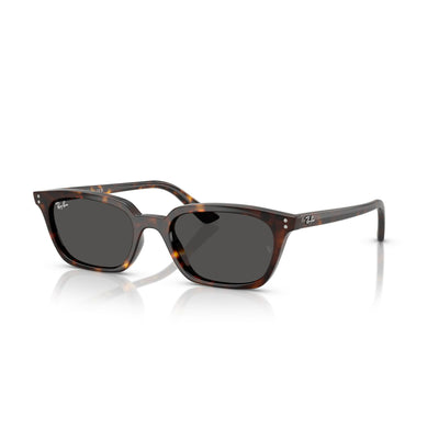 Ray-Ban : Zaya 0RB4456