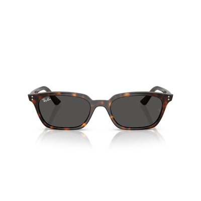 Ray-Ban : Zaya 0RB4456