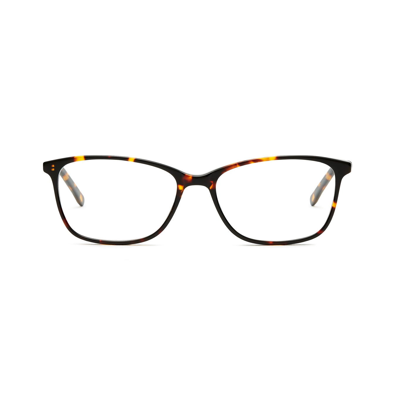 Bill Bass Thea Womens Prescription Glasses | Bupa Optical