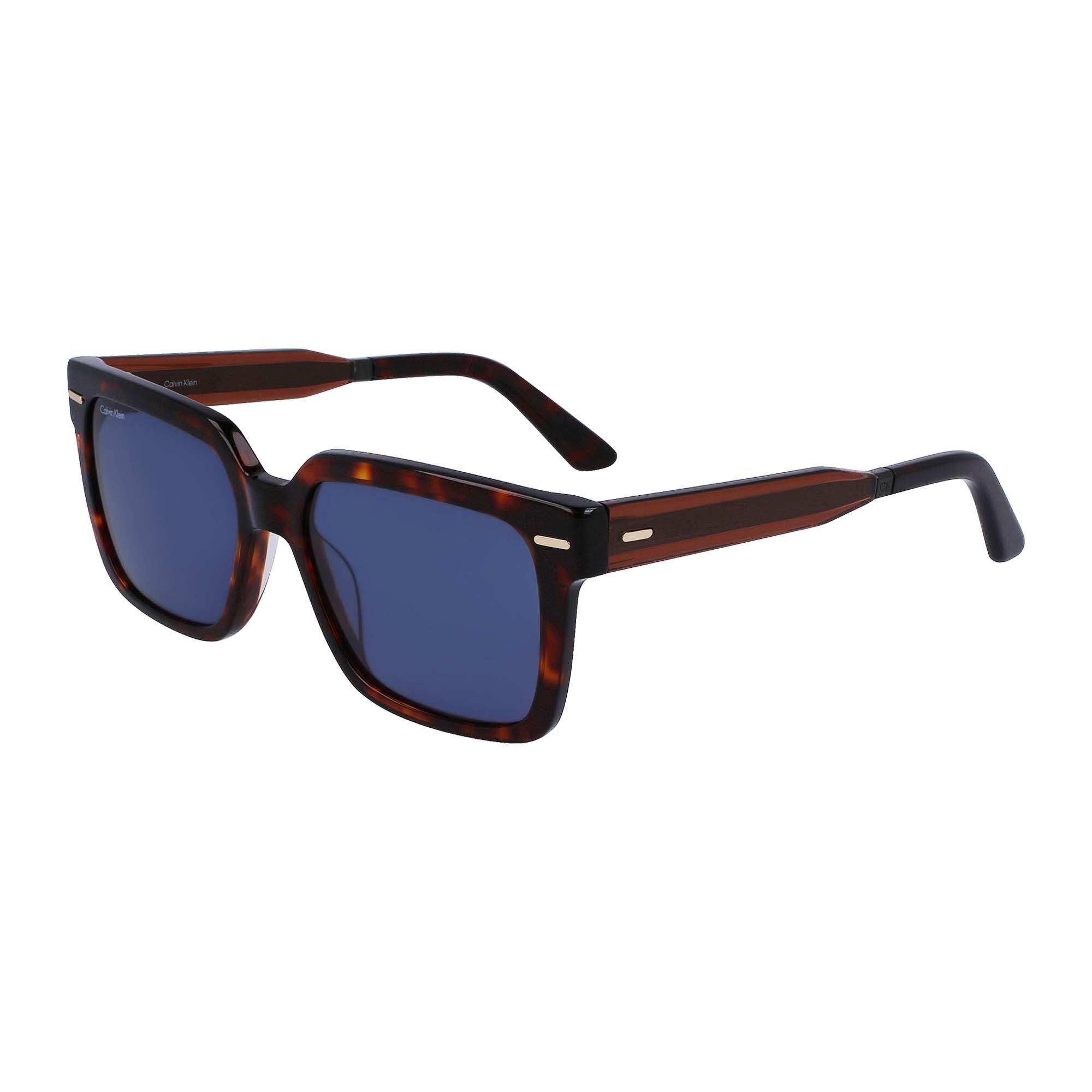 Calvin klein best sale sunglasses men's